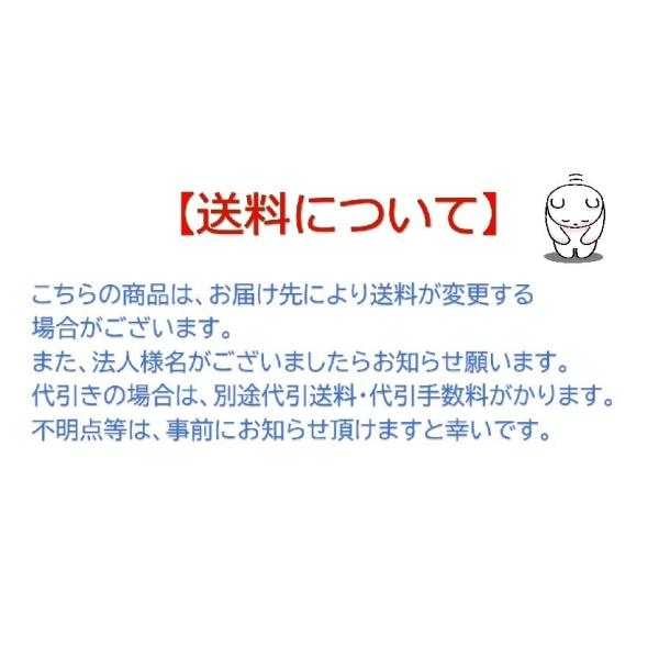 即納! 台数限定! ヤマハ インバータ EF900iS GB2 カセットボンベ 0.9KVA 100V