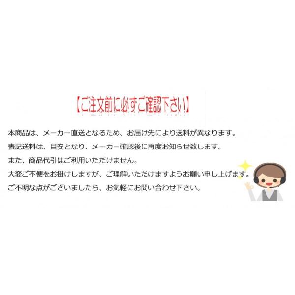 ホンダ インバーター発電機 EU28is 車輪なし 2.8KVA セルスターター付き 並列運転機能 長期納期